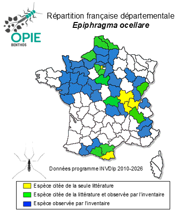 Carte de distribution de Epiphragma ocellare (Linnaeus, 1761)
