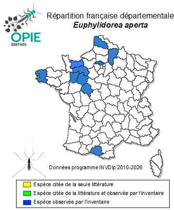Carte de distribution de Euphylidorea aperta (Verrall, 1887)
