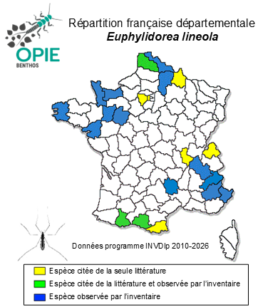 Carte de distribution de Euphylidorea lineola (Meigen, 1804)
