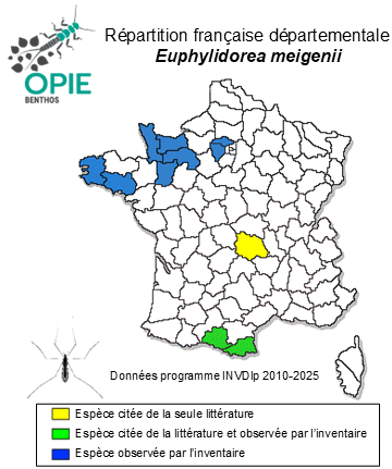 Carte de distribution de Euphylidorea meigenii (Verrall, 1886)