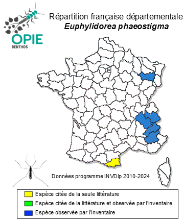 Carte de distribution de Euphylidorea phaeostigma (Schummel, 18290)