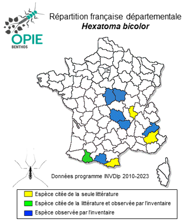 Carte de distribution de Hexatoma bicolor (Meigen, 1818)