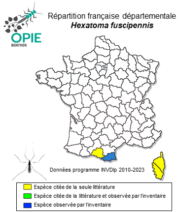 Carte de distribution de Hexatoma fuscipennis (Curtis, 1836)