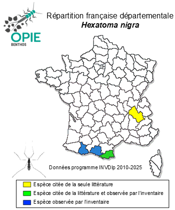 Carte de distribution de Hexatoma nigra Latreille, 1809