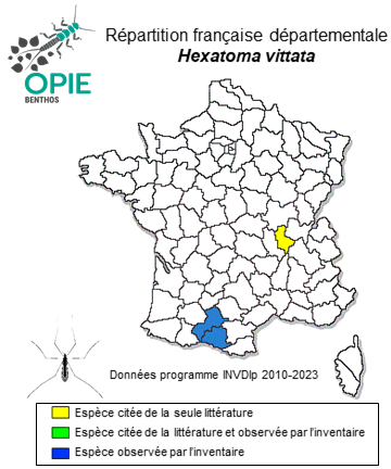 Carte de distribution de Hexatoma vittata (Meigen, 1930)