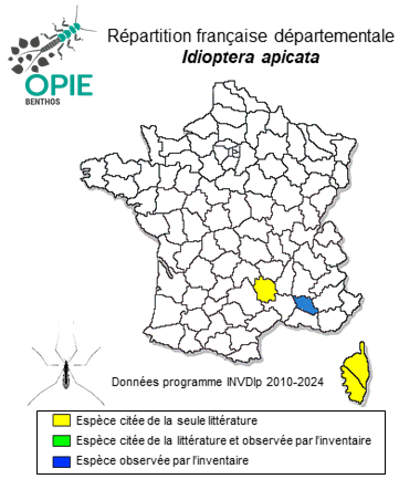 Carte de distribution de Idioptera apicata (Loew, 1871)