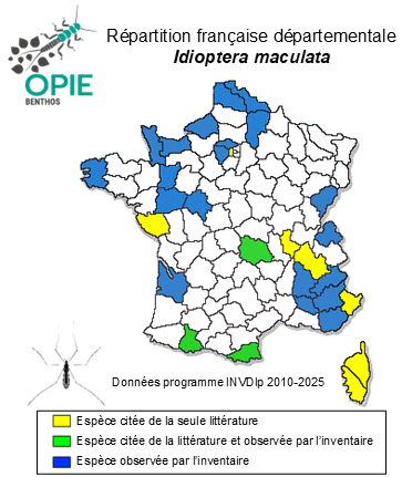 Carte de distribution de Idioptera maculata (Meigen, 1804)