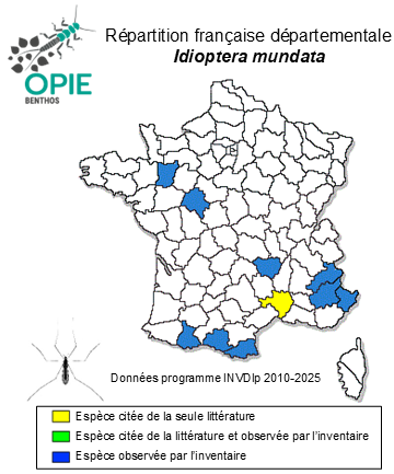 Carte de distribution de Idioptera mundata (Loew, 1871)