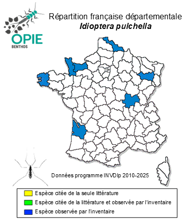 Carte de distribution de Idioptera pulchella (Meigen, 1830)