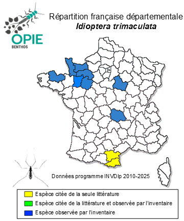 Carte de distribution de Idioptera trimaculata (Zetterstedt, 1838)