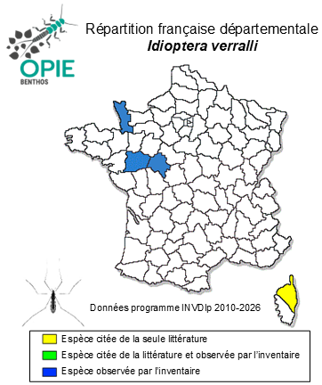Carte de distribution de Idioptera verralli (Bergroth, 1912)