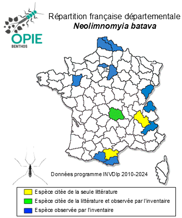 Carte de distribution de Neolimnomyia batava (Edwards, 1938)