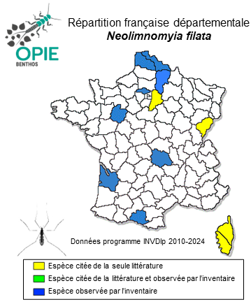 Carte de distribution de Neolimnomyia filata (Walker, 1856)