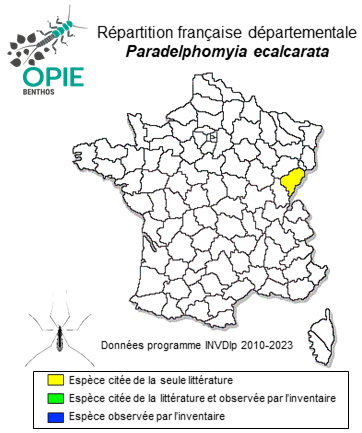 Carte de distribution de Paradelphomyia ecalcarata (Edwards, 1938)