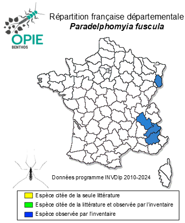 Carte de distribution de Paradelphomyia fuscula (Loew, 1873)