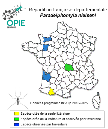 Carte de distribution de Paradelphomyia nielseni (Kuntze, 1919)