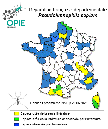 Carte de distribution de Peudolimnophila sepium (Verrall, 1886)