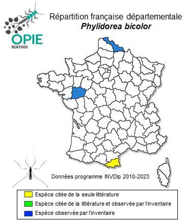Carte de distribution de Phylidorea bicolor (Meigen, 1804)