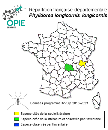 Carte de distribution de Phylidorea longicornis longicornis (Schummel, 1829)