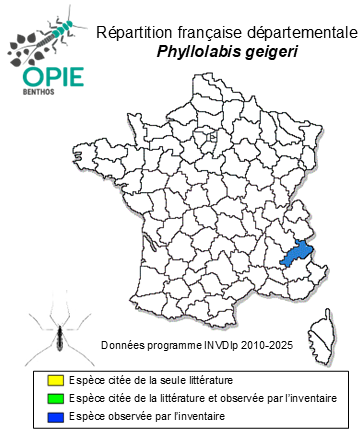 Carte de distribution de Phyllolabis geigeri Podenas & Starý, 1997