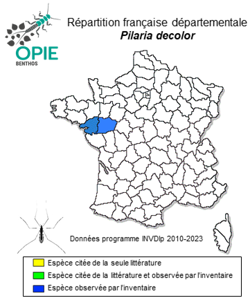 Carte de distribution de Pilaria decolor (Zetterstedt, 1851)