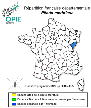 Carte de distribution de Pilaria meridiana (Staeger, 1840)