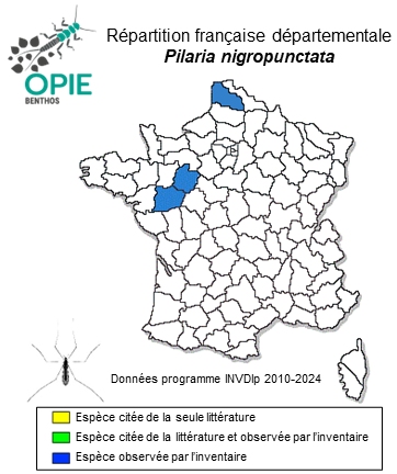 Carte de distribution de Pilaria nigropunctata (Agrell, 1945)