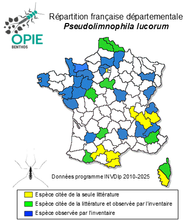 Carte de distribution de Pseudolimnophila lucorum (Meigen, 1818)