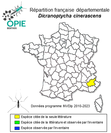 Carte de distribution de Dicranoptycha cinerascens (Meigen, 1818)