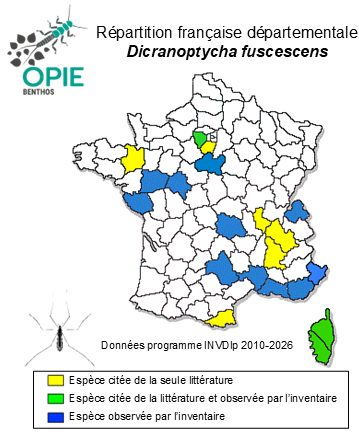 Carte de distribution de Dicranoptycha fuscescens (Schummel, 1829)