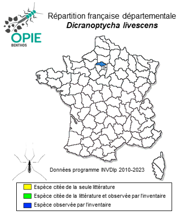 Carte de distribution de Dicranoptycha livescens, Loew, 1871