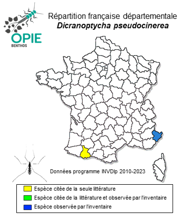Carte de distribution de Dicranoptycha pseudocinerea Starý, 1972