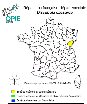 Carte de distribution de Discobola caesarea (Osten Sacken, 1854)