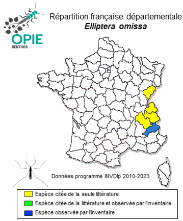 Carte de distribution de Elliptera omissa Schiner, 1863