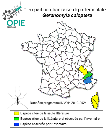 Carte de distribution de Geranomyia caloptera Mik, 1867