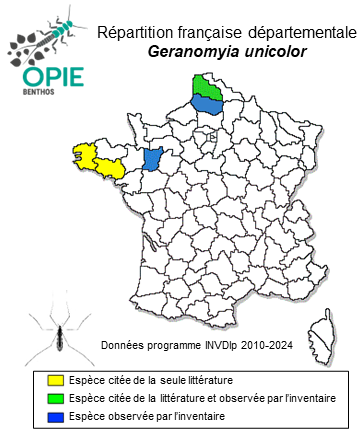 Carte de distribution de Geranomyia unicolor Haliday, 1833