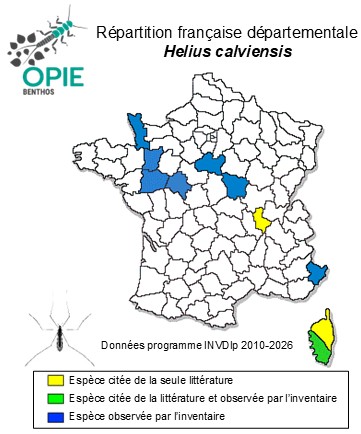 Carte de distribution de Helius calviensis Edwards, 1928
