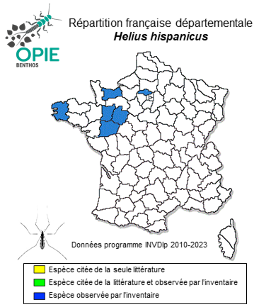 Carte de distribution de Helius hispanicus Lackschewitz, 1928