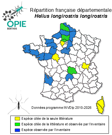 Carte de distribution de Helius longirostris longirostris (Meigen, 1818)