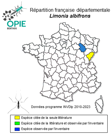 Carte de distribution de Limonia albifrons (Meigen, 1818)