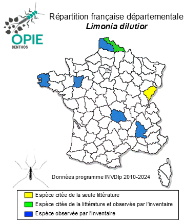 Carte de distribution de Limonia dilutior (Edwards, 1921)