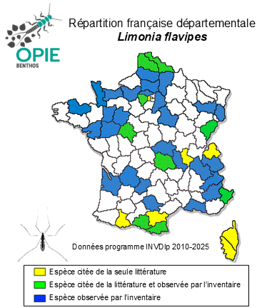 Carte de distribution de Limonia flavipes (Fabricius, 1787)