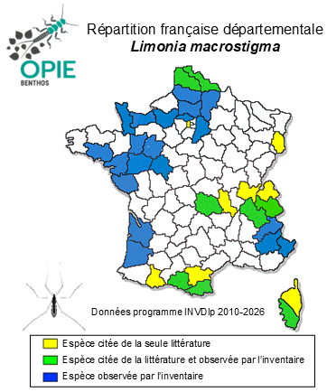 Carte de distribution de Limonia macrostigma (Schummel, 1829)