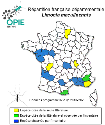 Carte de distribution de Limonia maculipennis (Meigen & Wiedemann, 1818)
