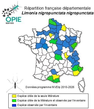 Carte de distribution de Limonia nigropunctata nigropunctata (Schummel, 1829)