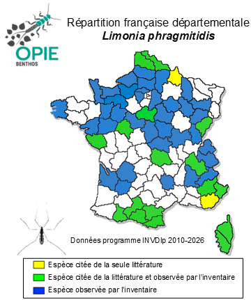 Carte de distribution de Limonia phragmitidis (Schrank, 1781)
