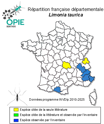 Carte de distribution de Limonia taurica (Strobl, 1895)
