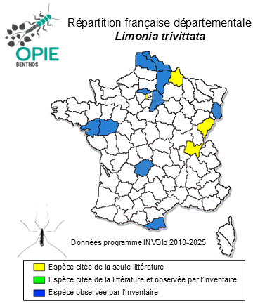 Carte de distribution de Limonia trivittata (Schummel, 1829)