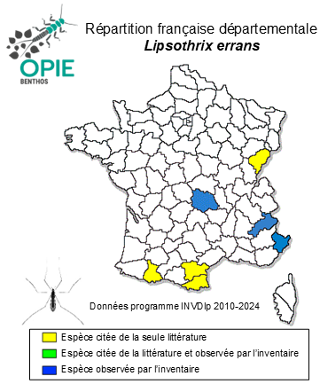Carte de distribution de Lipsothrix errans (Walker, 1848)