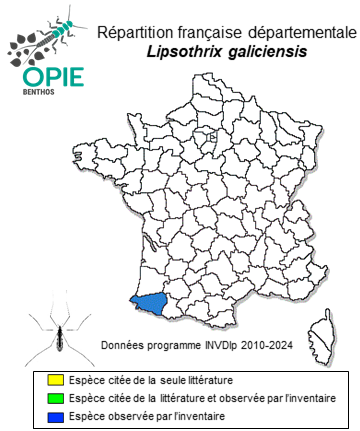 Carte de distribution de Lipsothrix galiciensis Hancock & Hewitt, 2015
